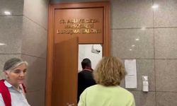 Canan Kaftancıoğlu'na 'Cumhurbaşkanına hakaret' davasında 4 yıl 8 aya kadar hapis talebi