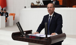 CHP'li Akay: 'Kamu malını 30 yıllığına özel şirketlere bırakmak kamu malını satmanın başka bir yöntemidir'