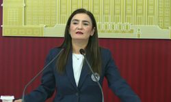 CHP'li Erdan Kılıç: 'Çete üreten zemini ortadan kaldırmak asıl görevidir devletin'