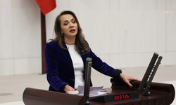 CHP'li İlgezdi, köprü ve otoyolların özelleştirilmesini Bakanı Şimşek'e sordu