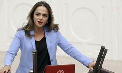 CHP'li İlgezdi'den Bakan Yumaklı'ya: 'Hodri meydan; hangi kasaba ucuz et verdiğinizi açıklayın'