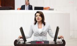 CHP'li Kış: '100 liralık banknot tedavüle çıktığında yaklaşık 41 litre mazot alıyordu, bugün 1 litre mazot ancak alınabiliyor'