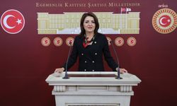 CHP'li Kış, narenciye üreticisinin sorunlarını Meclis gündemine taşıdı