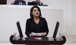 CHP'li Kış'tan 'fon krizi' için Bakan Şimşek'e üç soru önergesi: 'Vatandaşın parasını kim karşılayacak?'