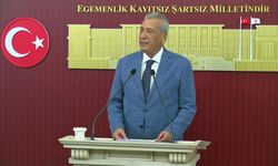 CHP'li Öztürkmen: 'Kozinoğlu dosyasını aydınlatmak Türk yargısının görevidir'
