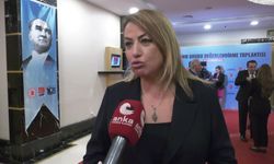 CHP'nin milletvekili kampı: Kara: 25 yıllık AKP iktidarına karşı, CHP'nin kurumsal kimliği etrafında kenetlendiğimizi göstereceğimiz bir toplantı olacak
