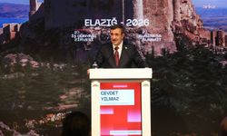 Cumhurbaşkanı Yardımcısı Yılmaz Elazığ'da konuştu: 'Terörün yol açtığı güvenlik maliyetleri ve belirsizlikler ortadan kalktıkça başta Doğu ve Güneydoğu Anadolu'da yatırım, üretim ve istihdam gelişecektir'