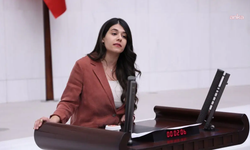 DEM Parti Milletvekili Altın, Kızıltepe'de çocukların bulunduğu eve baskını Meclis gündemine taşıdı