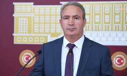 DEM Partili İrmez'den 'Fon Krizi' için Meclis Araştırması önerisi