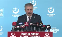 Destici'den 'Fon krizi' açıklaması: 'Bu zararlar mutlaka ama mutlaka vurgunculardan ve devleti soyanlardan karşılanmalı'