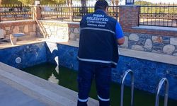 Didim Belediyesi, vektörle mücadele çalışmalarını sürdürüyor