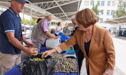 Didim'de 'Zeytin Pazarı' kapılarını açtı