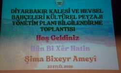 Diyarbakır Büyükşehir Belediyesi Eşbaşkanı Bucak: 'Diyarbakır'ın dünya mirasını korumak için eylem planı şart'