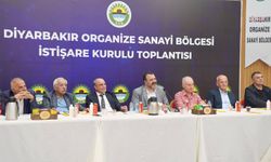 Diyarbakır OSB'de İstişare Kurulu oluşturuldu