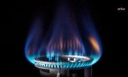 Doğal gaz fiyatları bu kış cep yakacak