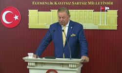 Doğan Bekin'den Hürmüz Boğazı değerlendirmesi: 'İran ve Umman'ın ortak muvafakatı olmadan kalıcı çözüm mümkün değil'