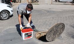 Efeler Belediyesi, ilçe genelinde ilaçlama çalışmalarını sürdürüyor