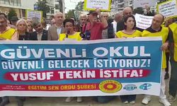 Eğitim Sen Ordu Şubesi: Okullarda şiddete karşı somut adımlar atılmalı
