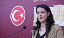 EMEP'li Karaca, Girne'deki gemi faciasını TBMM gündemine taşıdı