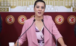 EMEP'li Karaca, işçilerinin direnişini TBMM gündemine taşıdı