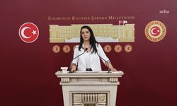 EMEP'li Karaca, karma eğitime karşı yürütülen kampanyaları TBMM gündemine taşıdı