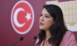 EMEP'li Karaca, LGBTİ derneklerine yönelik operasyonları TBMM gündemine taşıdı
