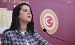 EMEP'li Sevda Karaca: 'LGBTİ örgütlerinin yakasından artık düşün'