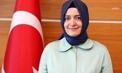 Fon krizinde ismi geçen AK Parti Genel Başkan Yardımcısı Kaya, tüm görevlerinden affını istedi