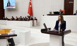 Gamze Akkuş İlgezdi: 'MESEM ucuz emek merkezine dönüştü'