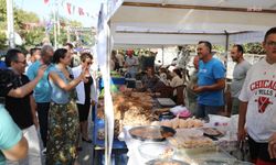 Gökçealan Osmancık Üzüm Şenliği renkli etkinliklerle kutlanacak