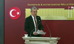 Gökhan Günaydın'dan fon krizi açıklaması: 'AKP'li elitler paralarını alıp kaçtılar, içeride kalan vatandaşın üzerine kapı kilitlendi'