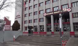 Gülistan Doku soruşturmasında 4 şüpheli daha tutuklandı