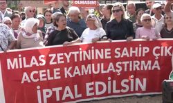 Hak savunucularından 'acele kamulaştırma' projelerine tepki: Bir şirketi binlerce hayvana tercih ediyorlar