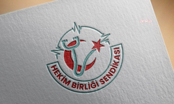 Hekim Birliği Sendikası'ndan ay sonunda 3 günlük eylem kararı