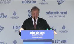 İBB Başkan Vekili Nuri Aslan: 'Üreticimize uzattığımız el, yarın İstanbul'da gıda güvenliğidir'