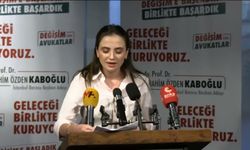 İbrahim Kaboğlu İstanbul Barosu Başkanlığına yeniden aday oldu: Türkiye'de hukuku etkili kılmaya davet ediyorum