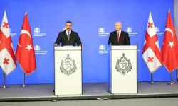 Gürcistan’dan Türkiye’ye iade sayısı 866’ya ulaştı