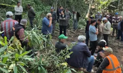 Düzce’de orman işçisinin acı ölümü