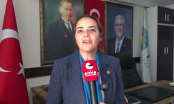 İYİ Partili Türkeş: 'Ekonomik krizin sorumlusu yanlış yönetim'