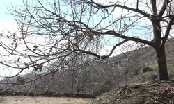İzmir Büyükşehir'den çiftçiye sonbahar destekleri