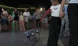 İzmir Enternasyonal Fuarı, konser ve stand-up gösterisi ile devam etti