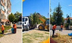 Kahramankazan genelinde temizlik çalışmaları sürüyor