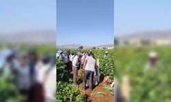 Kilis'te yaş üzüm fiyatına ilginç protesto: Bağlarda sela okuyup dua ettiler