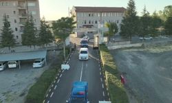 Kırıkkale'de mısır tarlasına ekili 105 kök Hint kenevir ele geçirildi