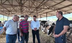 Manisalı besiciler, YENİ Partili Başevirgen'e dertlerini anlattı: 'Çalışırken batmak diye bir şey var'