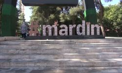 Mardinli emekli: Hiçbir şey yapamıyoruz, anca parkta oturuyoruz