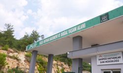 Mersin Büyükşehir Belediyesi Kaşlı Bakımevi'nde patili dostlar için anlamlı iş birliği
