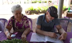 Mersin Büyükşehir Belediyesi'nden Dünya Alzheimer Günü'ne özel etkinlik