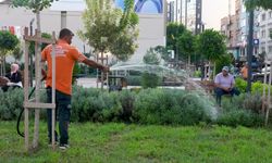 Mersin Büyükşehir Belediyesi'nin 'Kırmızı Lacivert Kent Meydanı'na yurttaştan tam not