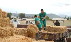 Milas Belediyesi'nden üreticilere saman balyası, yulaf tohumu ve yem desteği